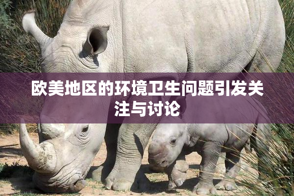 欧美地区的环境卫生问题引发关注与讨论