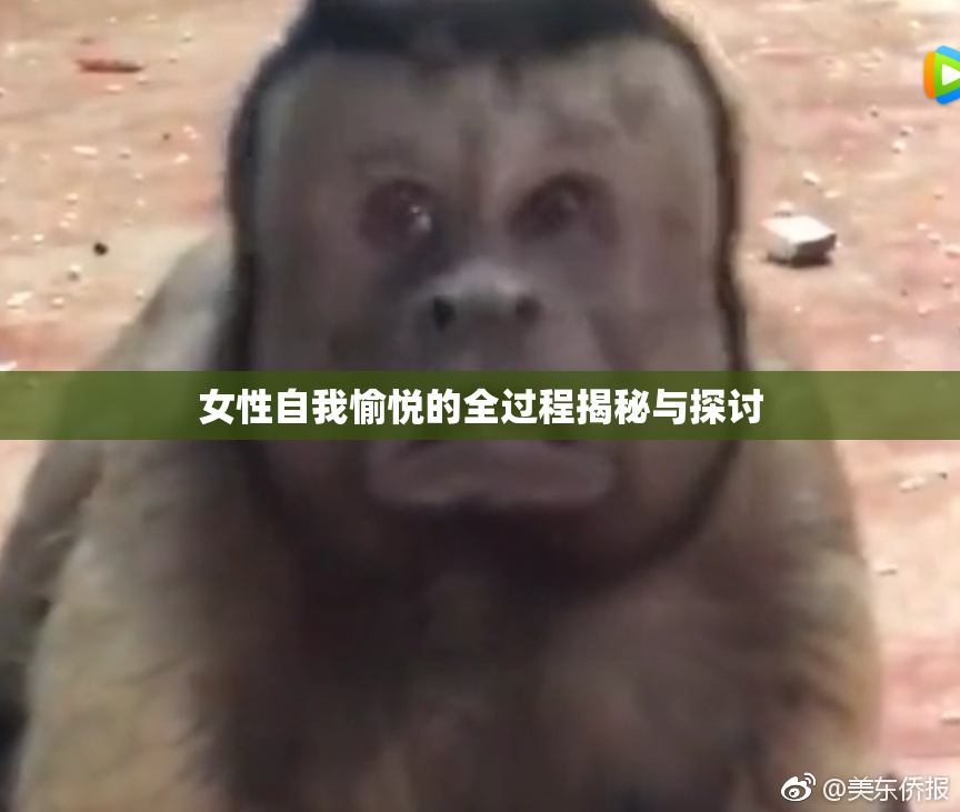 女性自我愉悦的全过程揭秘与探讨