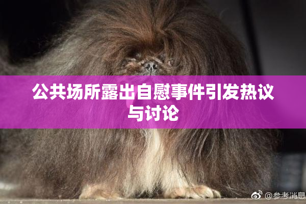 公共场所露出自慰事件引发热议与讨论