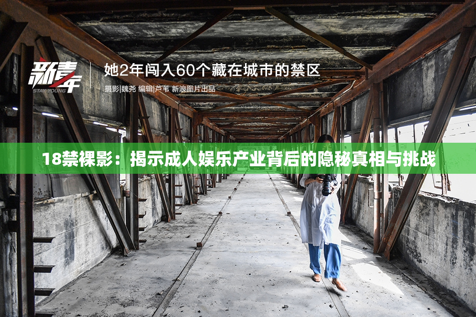 18禁裸影：揭示成人娱乐产业背后的隐秘真相与挑战