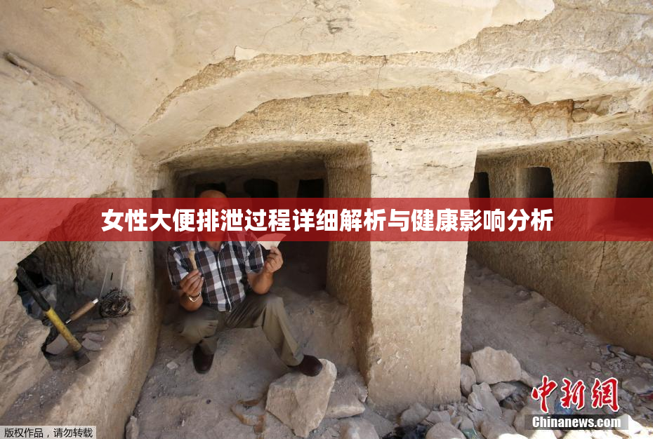 女性大便排泄过程详细解析与健康影响分析