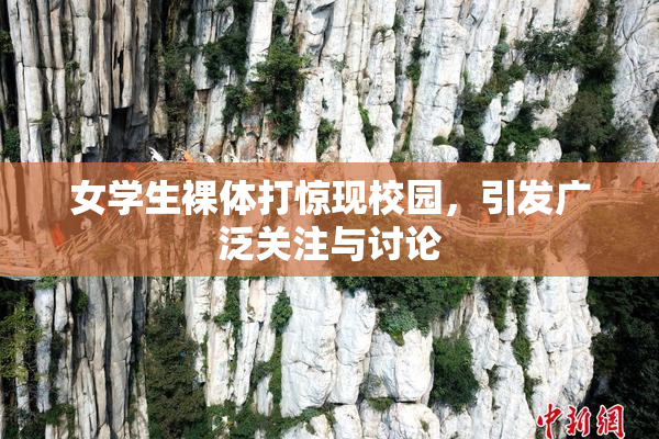 女学生裸体打惊现校园，引发广泛关注与讨论
