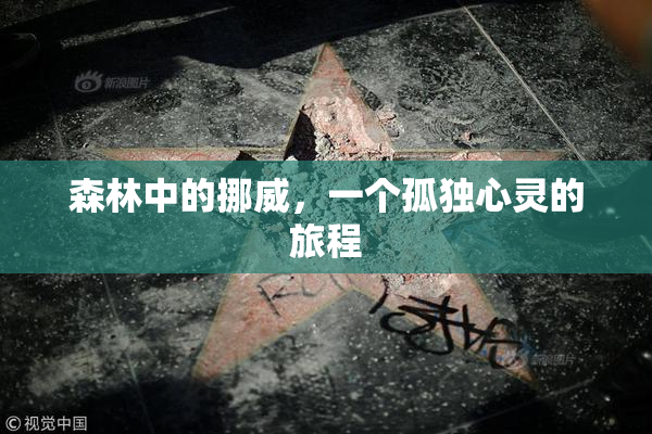 森林中的挪威，一个孤独心灵的旅程