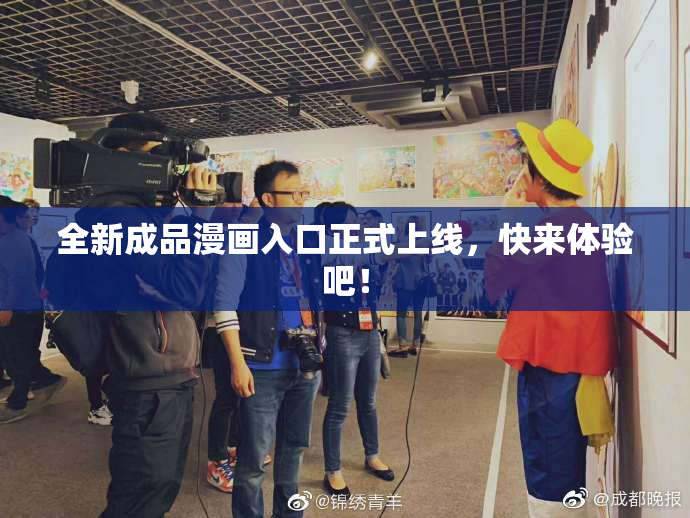 全新成品漫画入口正式上线，快来体验吧！