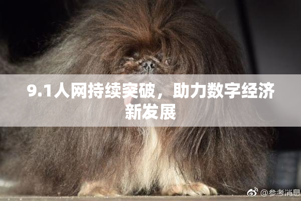 9.1人网持续突破，助力数字经济新发展
