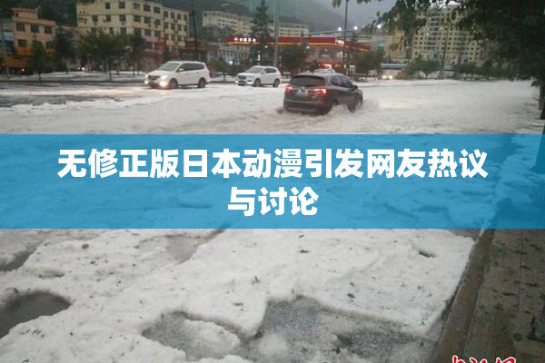 无修正版日本动漫引发网友热议与讨论