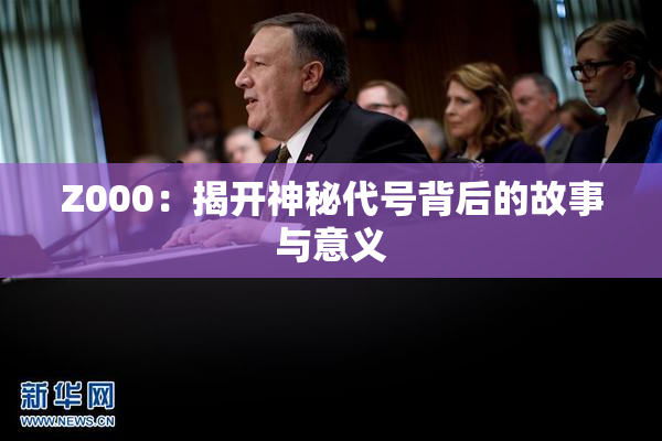 Z000：揭开神秘代号背后的故事与意义