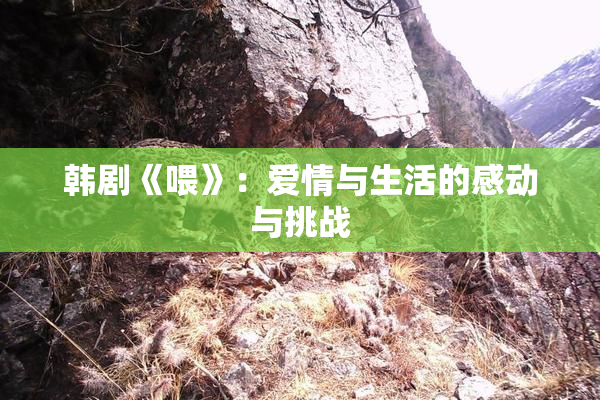 韩剧《喂》：爱情与生活的感动与挑战