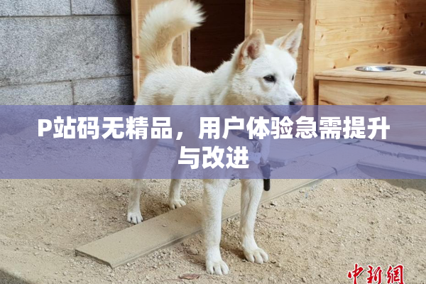 P站码无精品，用户体验急需提升与改进