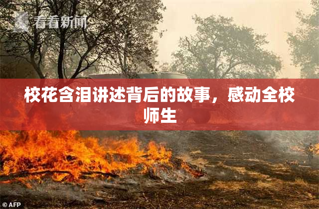 校花含泪讲述背后的故事，感动全校师生