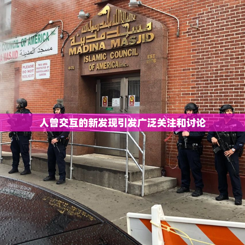 人曾交互的新发现引发广泛关注和讨论