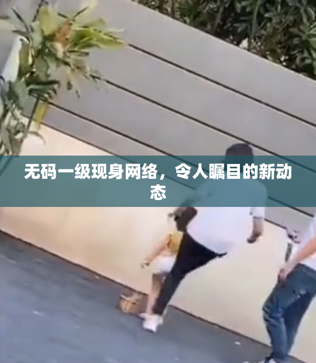 无码一级现身网络，令人瞩目的新动态