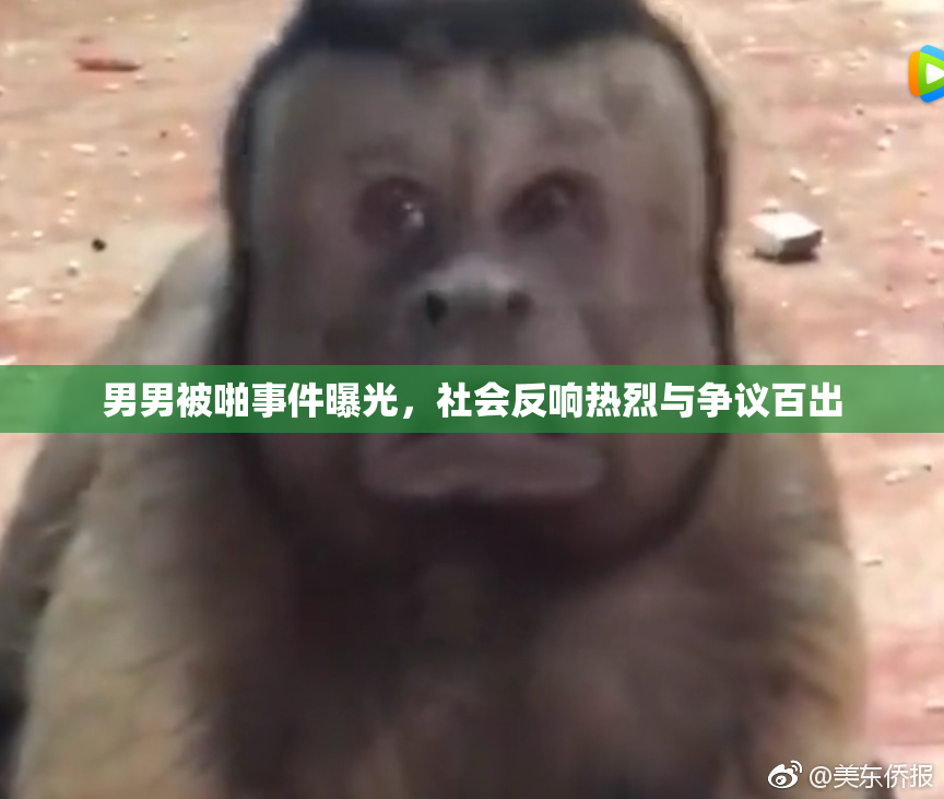 男男被啪事件曝光，社会反响热烈与争议百出