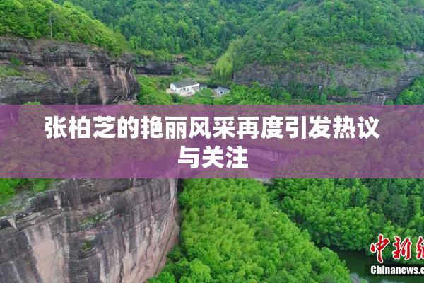 张柏芝的艳丽风采再度引发热议与关注