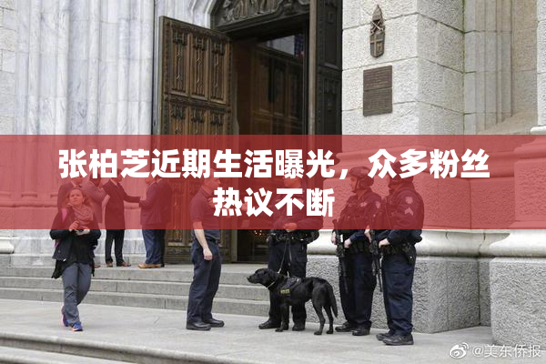 张柏芝近期生活曝光，众多粉丝热议不断