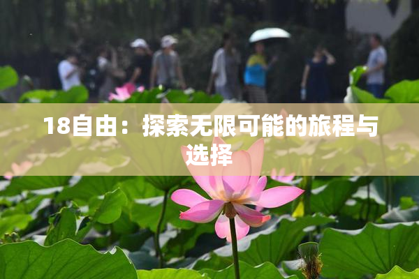 18自由：探索无限可能的旅程与选择