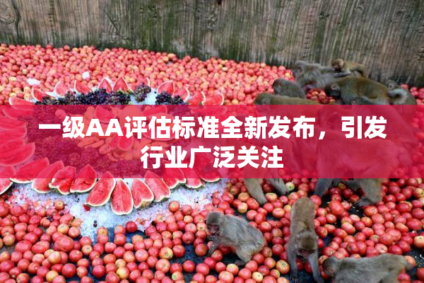 一级AA评估标准全新发布，引发行业广泛关注