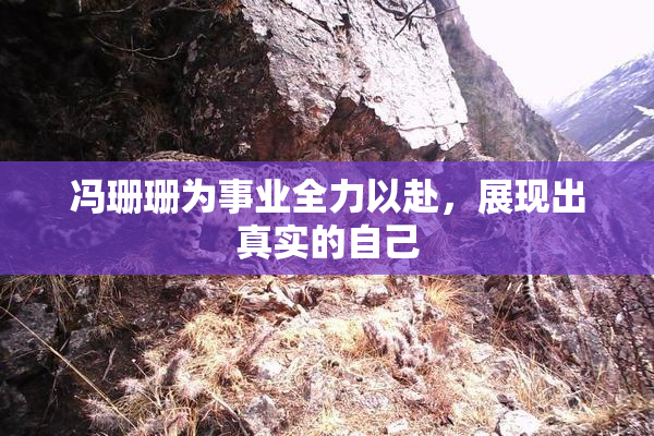 冯珊珊为事业全力以赴，展现出真实的自己