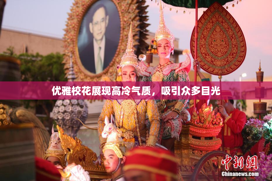 优雅校花展现高冷气质，吸引众多目光