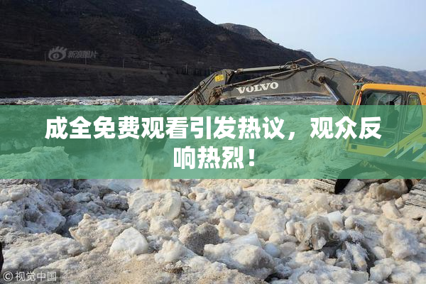 成全免费观看引发热议，观众反响热烈！