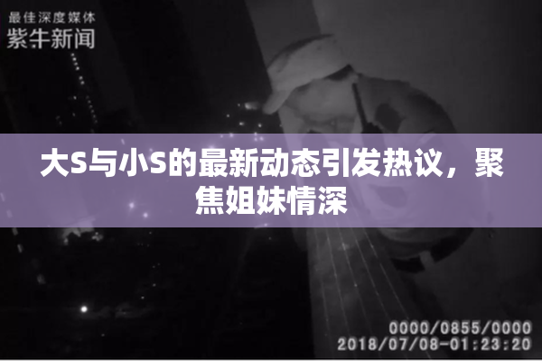 大S与小S的最新动态引发热议，聚焦姐妹情深