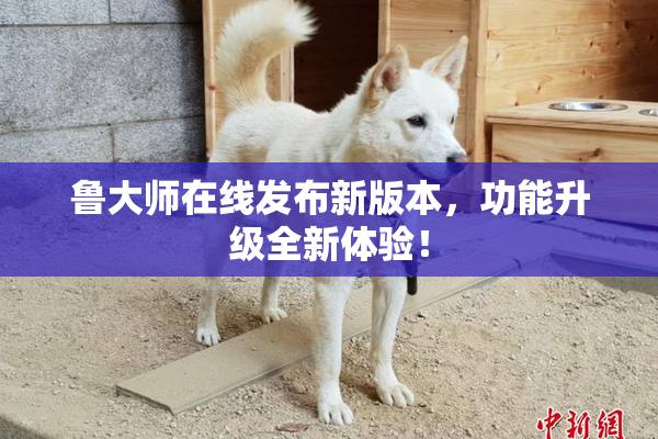 鲁大师在线发布新版本，功能升级全新体验！