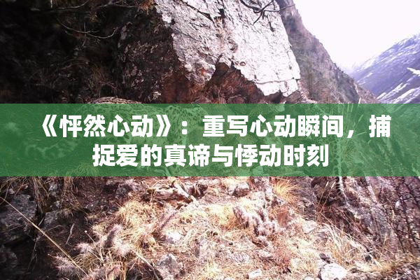 《怦然心动》：重写心动瞬间，捕捉爱的真谛与悸动时刻