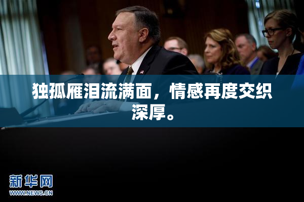 独孤雁泪流满面，情感再度交织深厚。