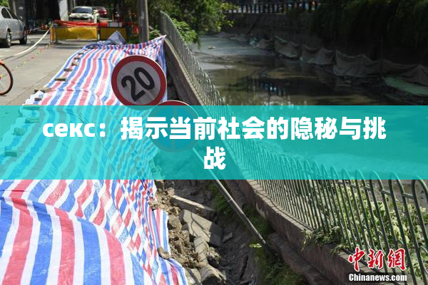 ceкс：揭示当前社会的隐秘与挑战