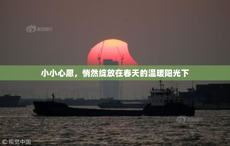 小小心愿，悄然绽放在春天的温暖阳光下