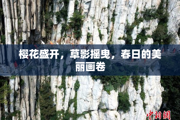 樱花盛开，草影摇曳，春日的美丽画卷