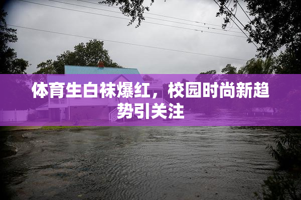 体育生白袜爆红，校园时尚新趋势引关注