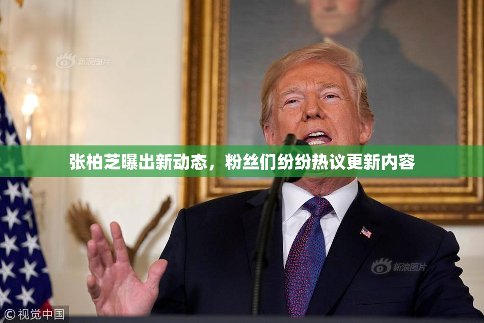 张柏芝曝出新动态，粉丝们纷纷热议更新内容