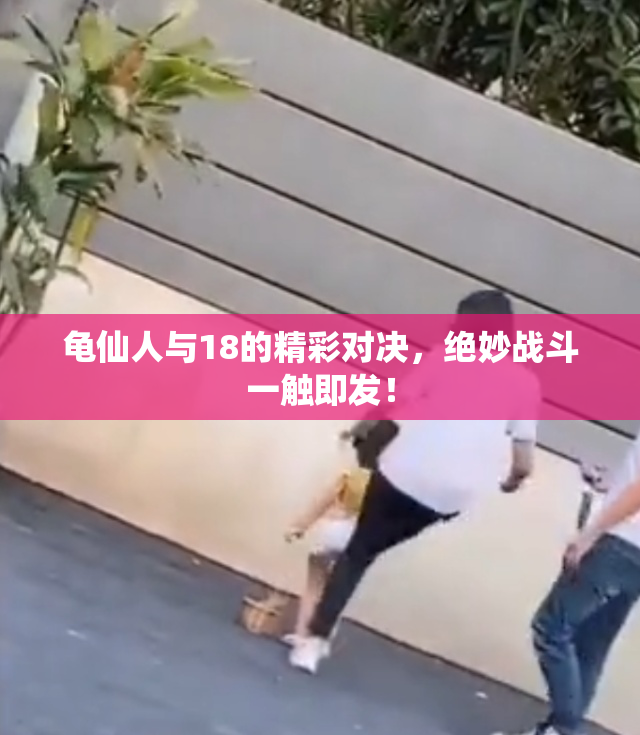 龟仙人与18的精彩对决，绝妙战斗一触即发！