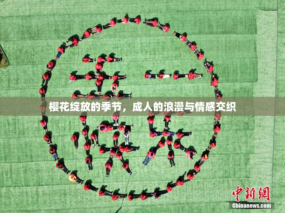 樱花绽放的季节，成人的浪漫与情感交织