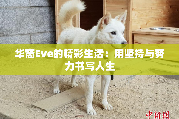 华裔Eve的精彩生活：用坚持与努力书写人生