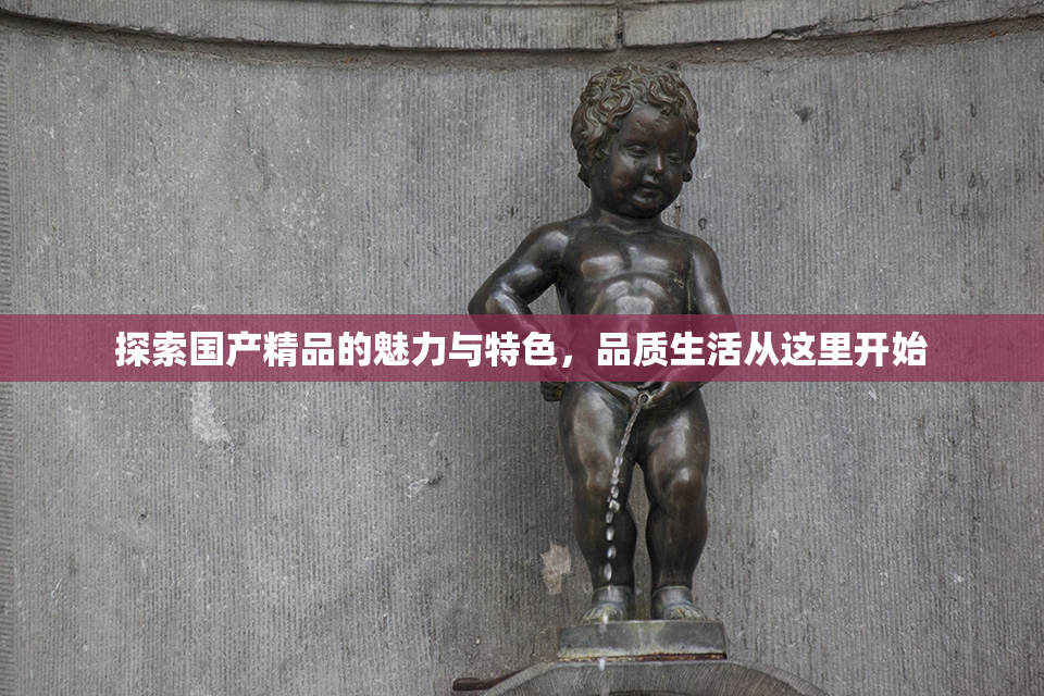 探索国产精品的魅力与特色，品质生活从这里开始