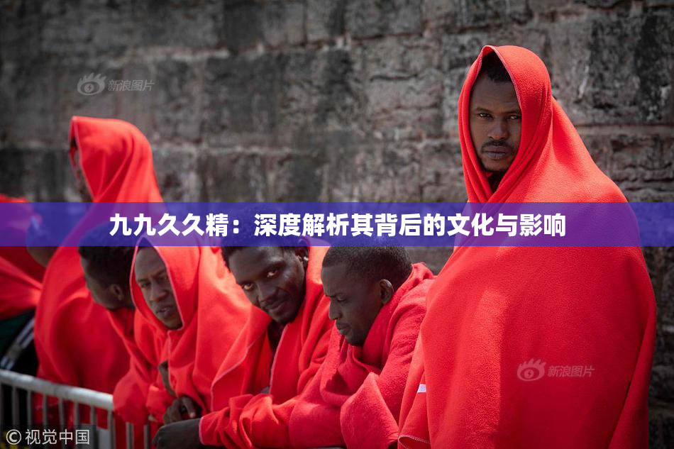 九九久久精：深度解析其背后的文化与影响