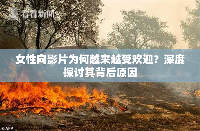 女性向影片为何越来越受欢迎？深度探讨其背后原因