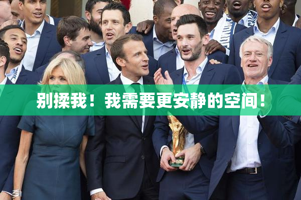 别揉我！我需要更安静的空间！
