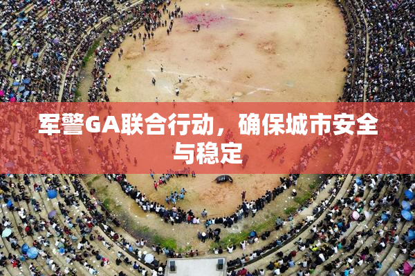 军警GA联合行动，确保城市安全与稳定