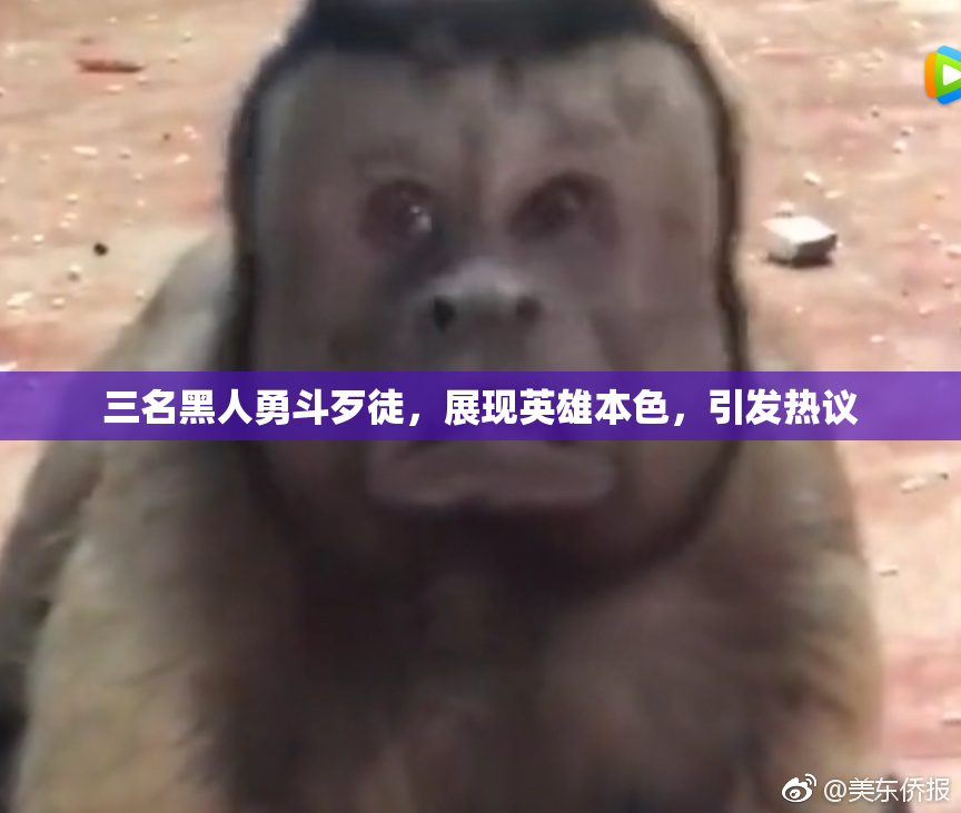 三名黑人勇斗歹徒，展现英雄本色，引发热议