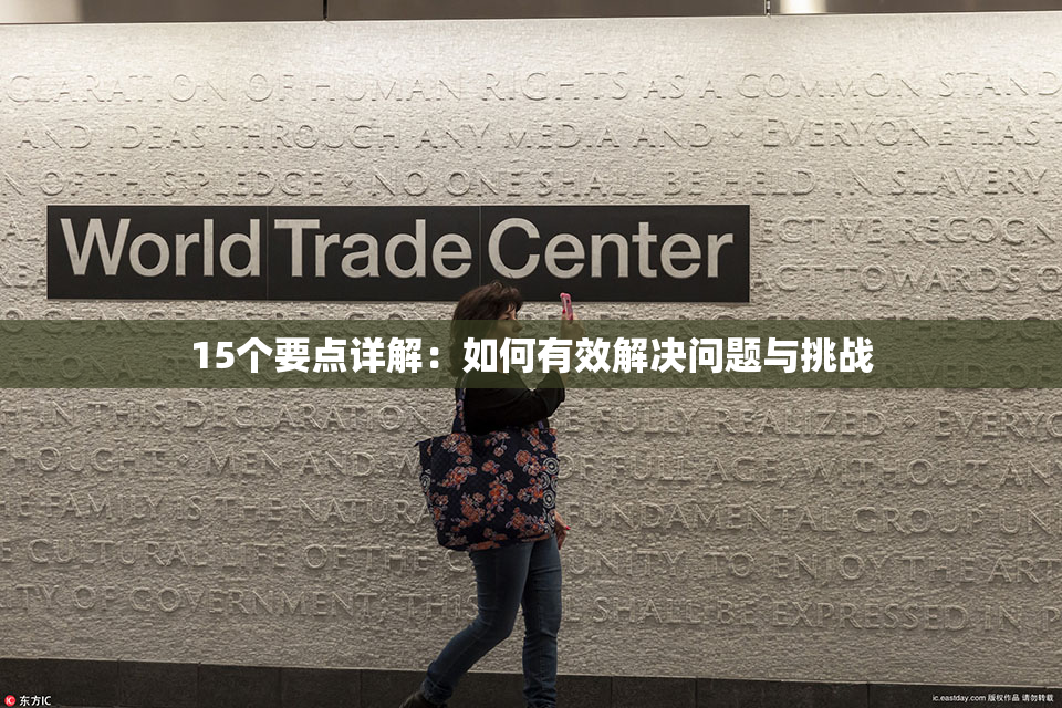 15个要点详解：如何有效解决问题与挑战