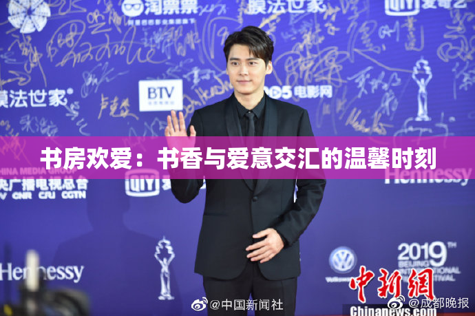 书房欢爱：书香与爱意交汇的温馨时刻