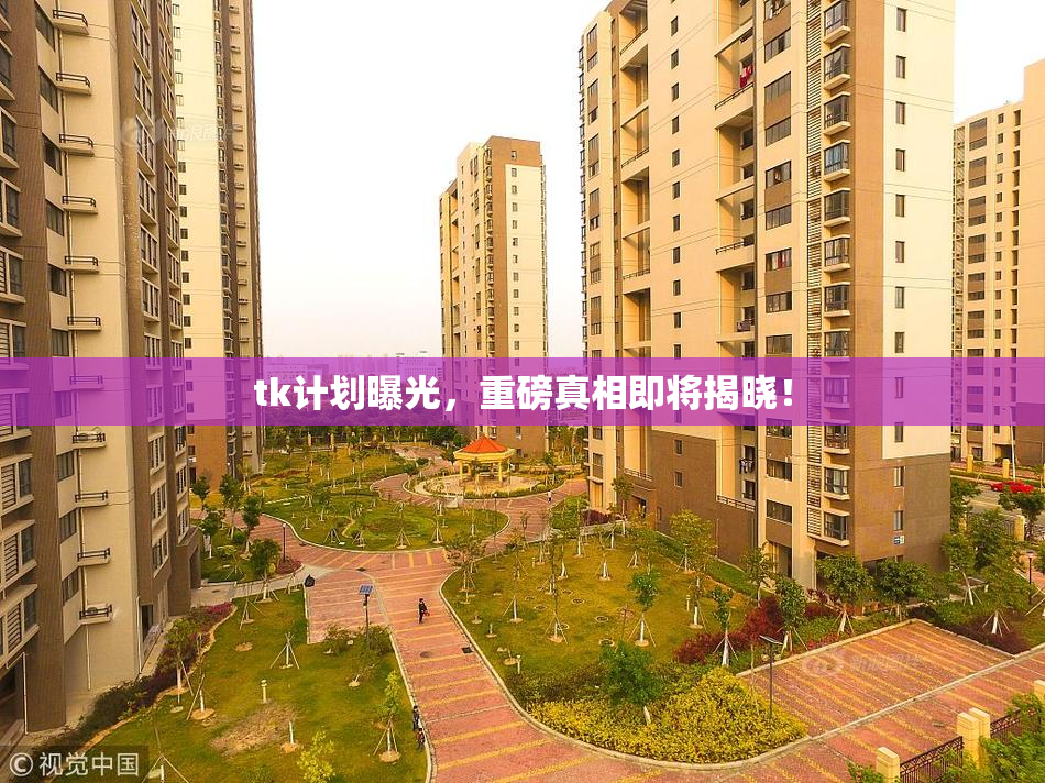 tk计划曝光，重磅真相即将揭晓！