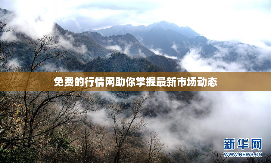 免费的行情网助你掌握最新市场动态