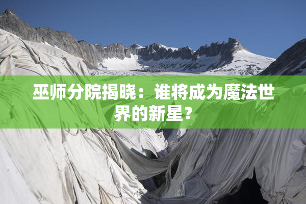 巫师分院揭晓：谁将成为魔法世界的新星？