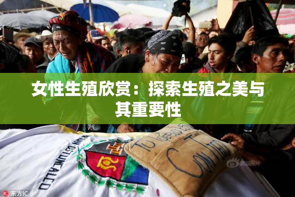 女性生殖欣赏：探索生殖之美与其重要性