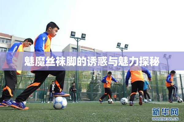 魅魔丝袜脚的诱惑与魅力探秘