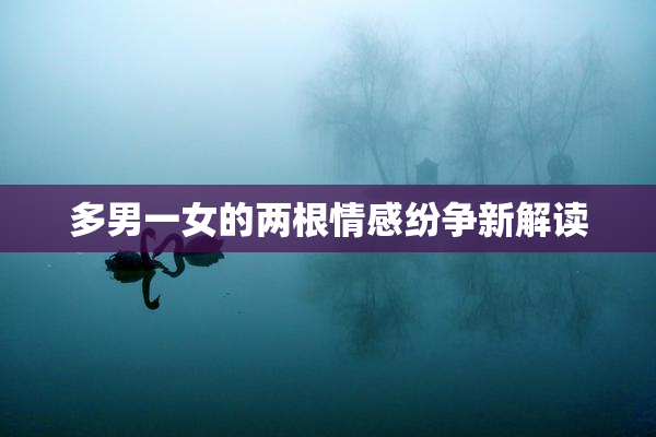 多男一女的两根情感纷争新解读
